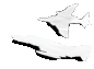 f4