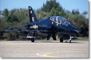 Hawk