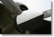 IMG_7487.JPG