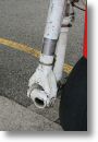 IMG_7528.jpg