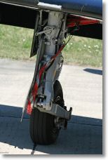 IMG_3977.JPG