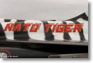 2000tigre_photo_eric_barelli25.jpg