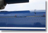 IMG_7775.jpg