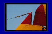 IMG_6556.JPG