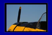 IMG_6561.JPG