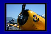 IMG_6575.JPG