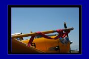 IMG_6582.JPG