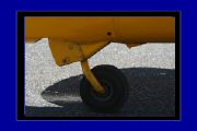 IMG_6591.JPG