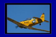 IMG_6774T.jpg