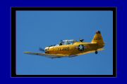 IMG_6958.jpg