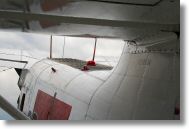 IMG_4775.jpg