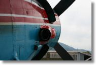 IMG_4783.jpg