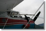 IMG_4790.jpg