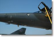 dsc47952md.jpg