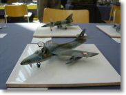 DSC09295.jpg