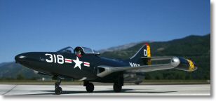 f9f2_panther2.jpg