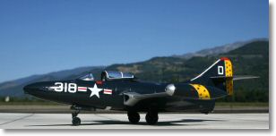 f9f2_panther5.jpg