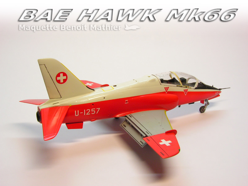 hawk