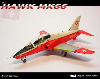 hawk