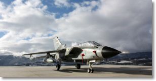 tornado_ids_revell_03.jpg