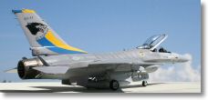F16_hasegawa-13.jpg