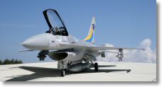F16_hasegawa-14.jpg