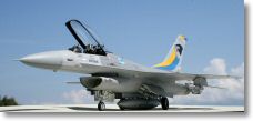 F16_hasegawa-9.jpg