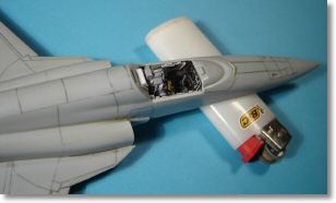 F5E_tigerII_12.jpg