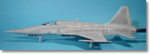 F5E_tigerII_24.jpg