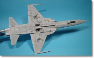 F5E_tigerII_26.jpg