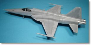 F5E_tigerII_30.jpg