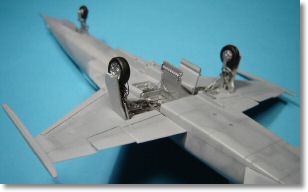 F5E_tigerII_31.jpg
