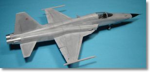 F5E_tigerII_35.jpg