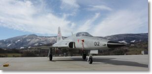 F5E_tigerII_41.jpg
