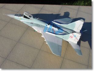MiG-2901b.jpg